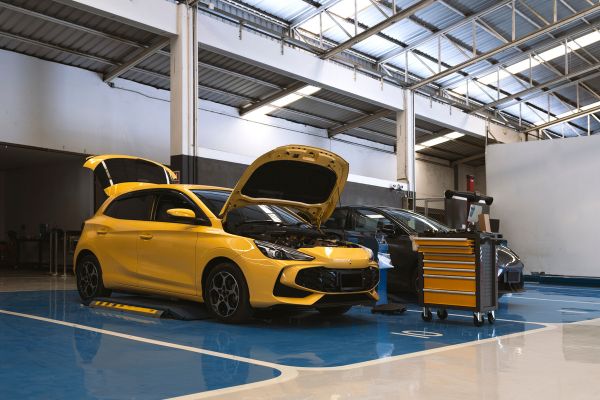 electric vehicles sustainability